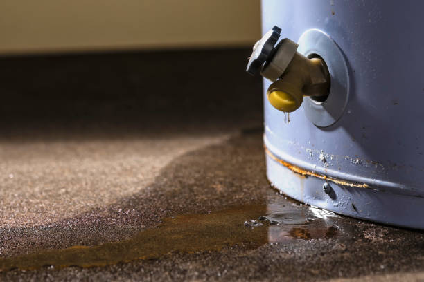 Best Local water damage restoration  in Mill Hall, PA