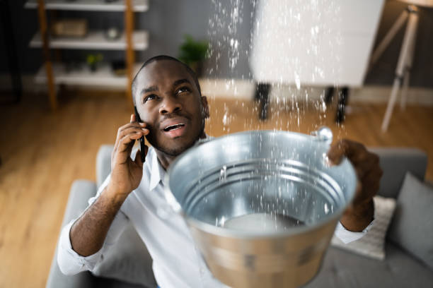 Best Water damage restoration near me  in Mill Hall, PA