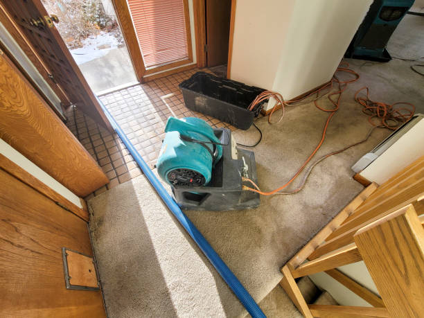 Best Mold removal after water damage  in Mill Hall, PA
