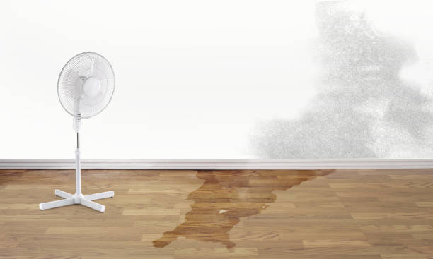  Mill Hall, PA Water damage restoration Pros