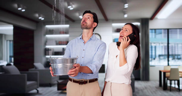 Best Water damage cleanup near me  in Mill Hall, PA